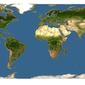 Discover Life: Point Map of Derris alborubra